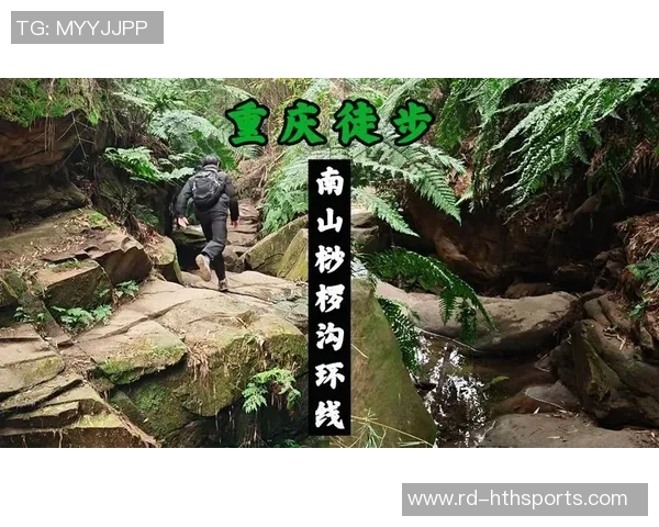 留学生用脚步测量重庆南山天然与前史 敞开一场惊喜的爬山之旅